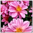 thumbnail image 1 of Picture-Tiles.com: Flowers Ceramic Tile Wall Mural WAL500632-66L. 48"W x 48"H using (36) 8" x 8" Ceramic Tiles-Satin Finish, 1 of 3