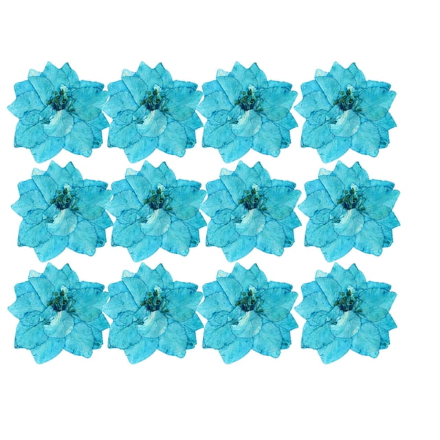 Pressed Flowers Home Arts Decorative Bookmarks Stickers Safe Colorful Multiple Simulation Decor Perfect Gifts Festive Supplies Blue