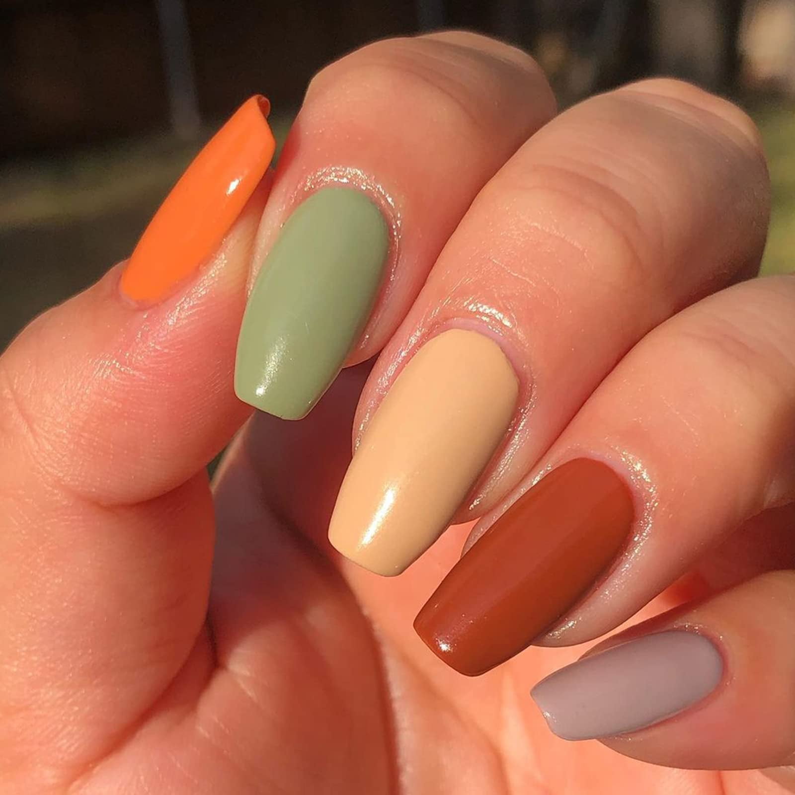 Eternal Nail Polish Collection: Safari - 5PCS, 0.46 fl oz ea.