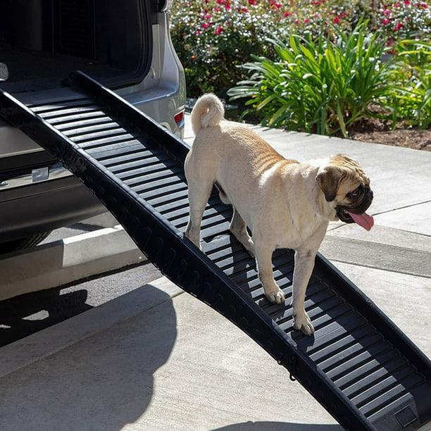 escalier pour chien rampe pour chien escalier pour chien escalier