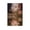Unframe-style, variant on Fiona Apple Poster Canvas Poster Posters Wall Art Painting Canvas Gift Living Room Prints Bedroom Decor Poster Artworks 24x36inch(60x90cm)