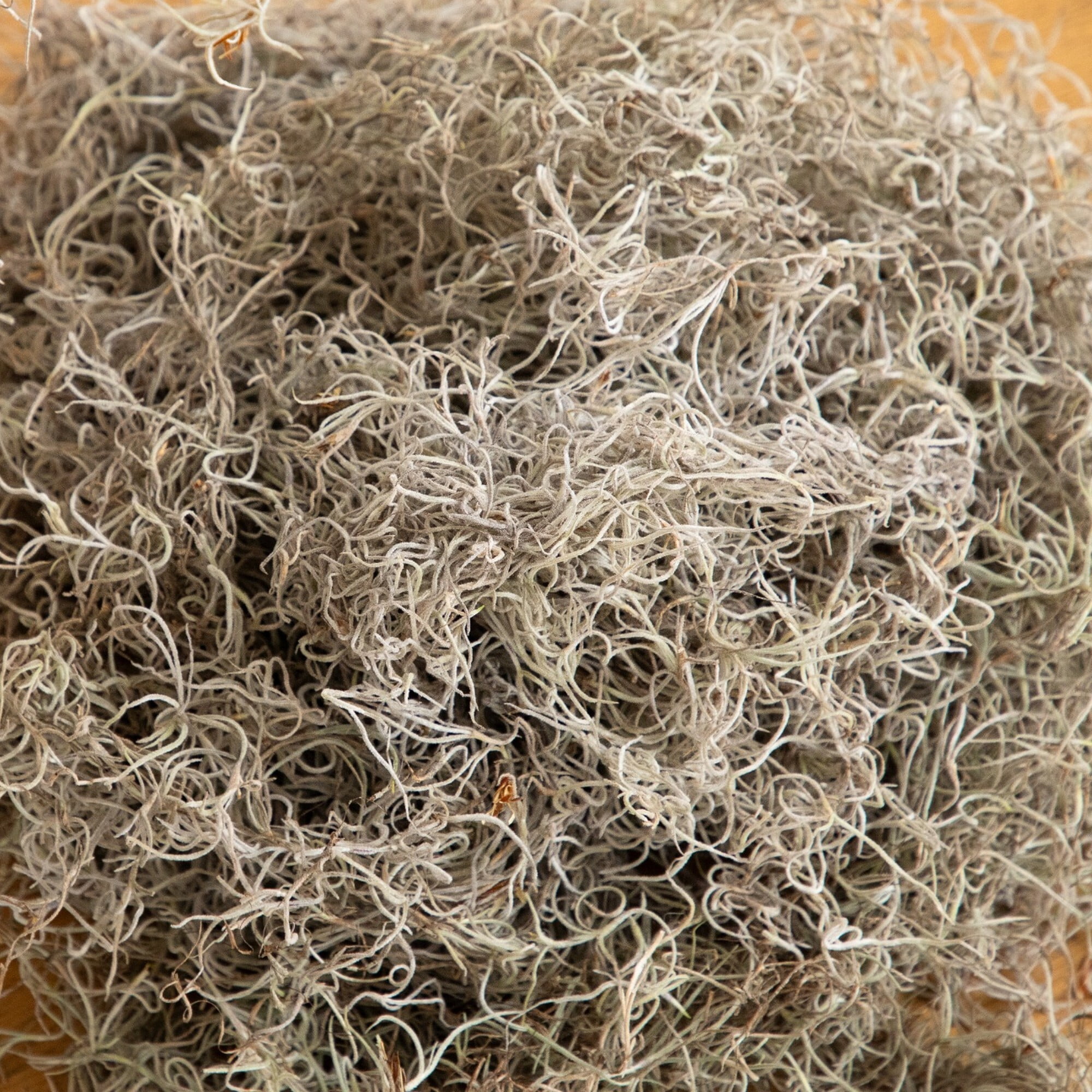 Natural Spanish Moss - 5Lbs