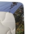 thumbnail image 3 of Ambesonne Nature Fitted & Top Sheet Set with Sham, Sakura Garden, Green Grey, 3 of 4