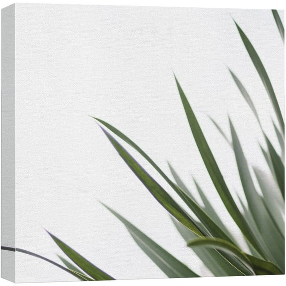 wall26 Canvas Print Wall Art Negative Space Style Green Plant View Nature Wilderness Photography Realism Chic Scenic Relax/Calm Multicolor for Living Room, Bedroom, Office - 16"x16"