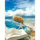 thumbnail image 1 of Playa libro estrella de mar DIY diamante pintura Rhinestone completo cuadrado taladro (ZQF8715) Sywqhk Decoración hogareña, 1 of 9