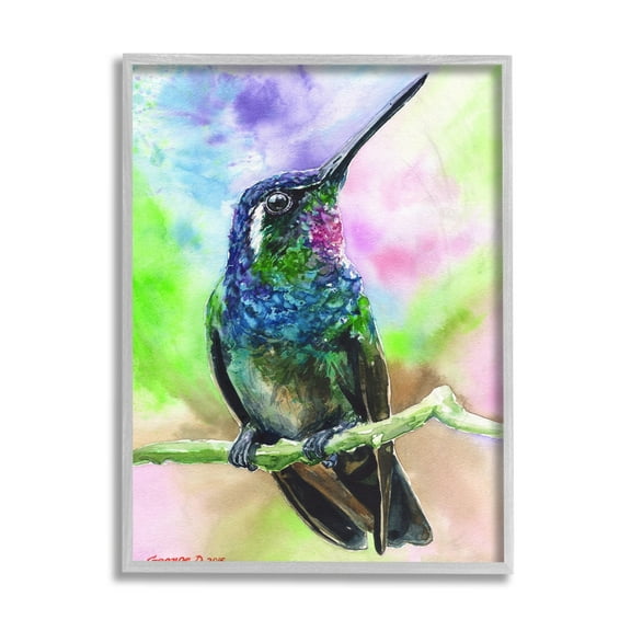 Stupell Industries Vibrant Hummingbird Perched Soft Tie-Dye Animals & Insects Painting Gray Framed Art Print Wall Art, 11 x 14