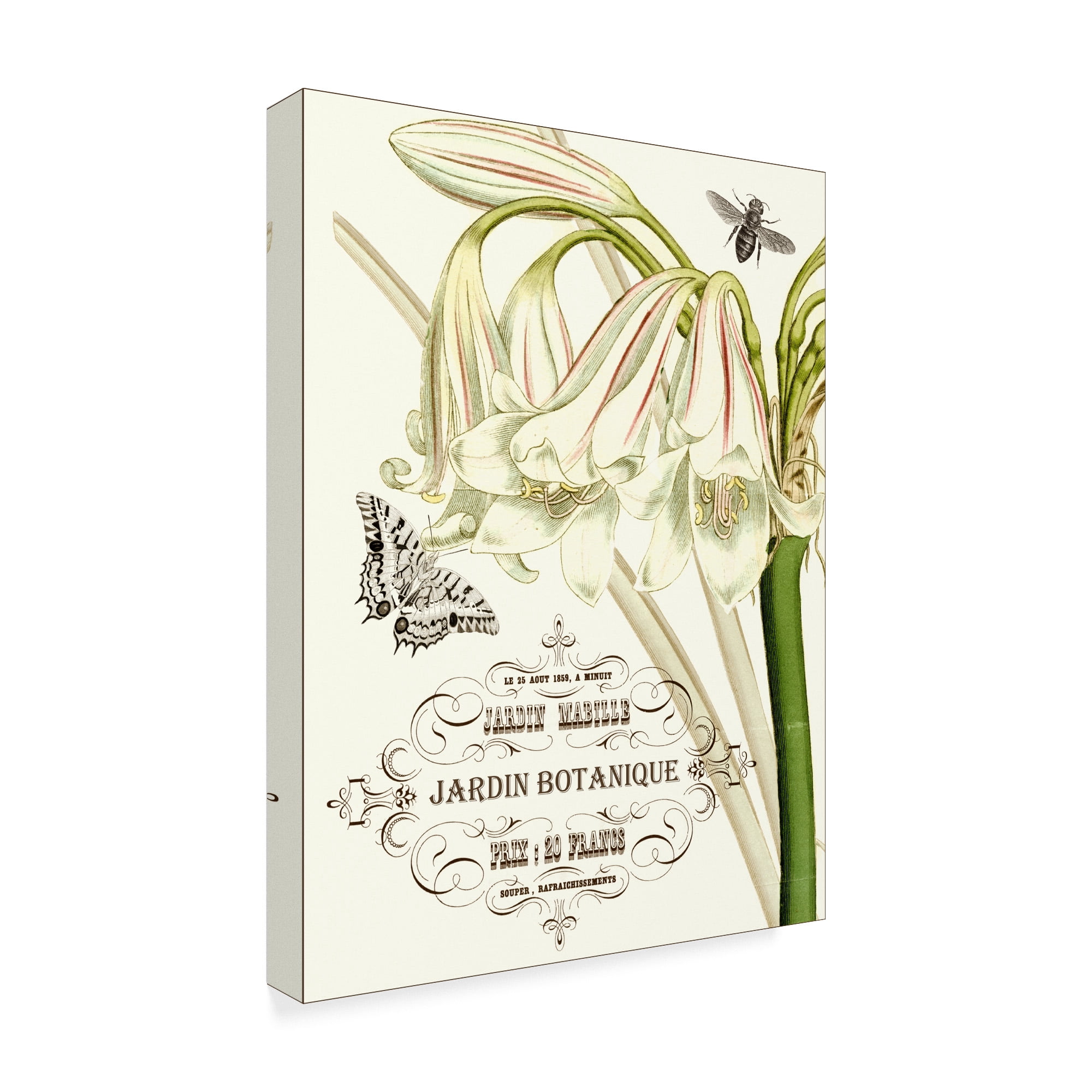 Trademark Fine Art 'Jardin Botanique I' Canvas Art by Vision Studio