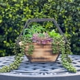 thumbnail image 3 of Flora Bunda TS1882E 11 in. Hexagon Wood Plus Metal Wall Succulent Mix, 3 of 5