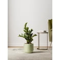 thumbnail image 4 of BEMAY Set of 3 Ceramic Plant Pots, 5.7" & 6.9"& 8.3" Indoor Plant Pots with Drainage Holes, Mesh Pads and Silicone Plugs, Sage Green Indoor Planters, 4 of 7