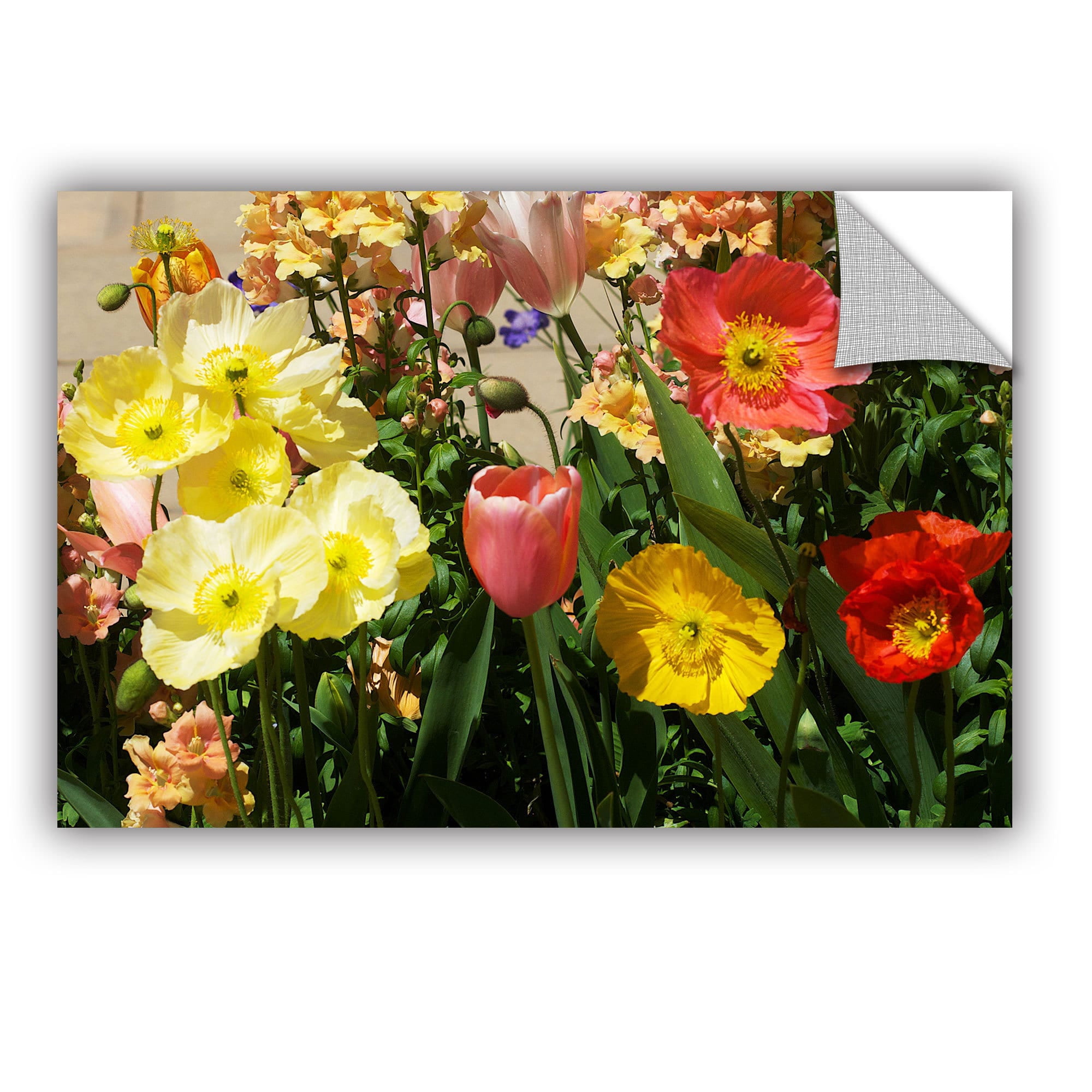 ArtAppealz Allan Friedlander "Yellow Flowers" Removable Wall Art