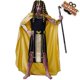 thumbnail image 5 of Egyptian Pharaoh Cosplay Costume Halloween Role Play Clothing Theme Party Stage Performance Wearing, 5 of 5