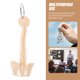 thumbnail image 4 of Llavero con diseño de columna vertebral, colgante de PVC, accesorio para llavero con columna vertebral, 4 of 5