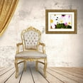 thumbnail image 3 of Bryant, Susan 32x23 Gold Ornate Wood Framed with Double Matting Museum Art Print Titled - Daisies I, 3 of 4