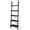 Black, variant on Resenkos Bookshelf,Shelf, Open Bookcase Book Shelf,Storage Shelf Unit Plant Stand, 5-Tier Wall-leaning Ladder Shelf Display Rack for Plants and Books-White