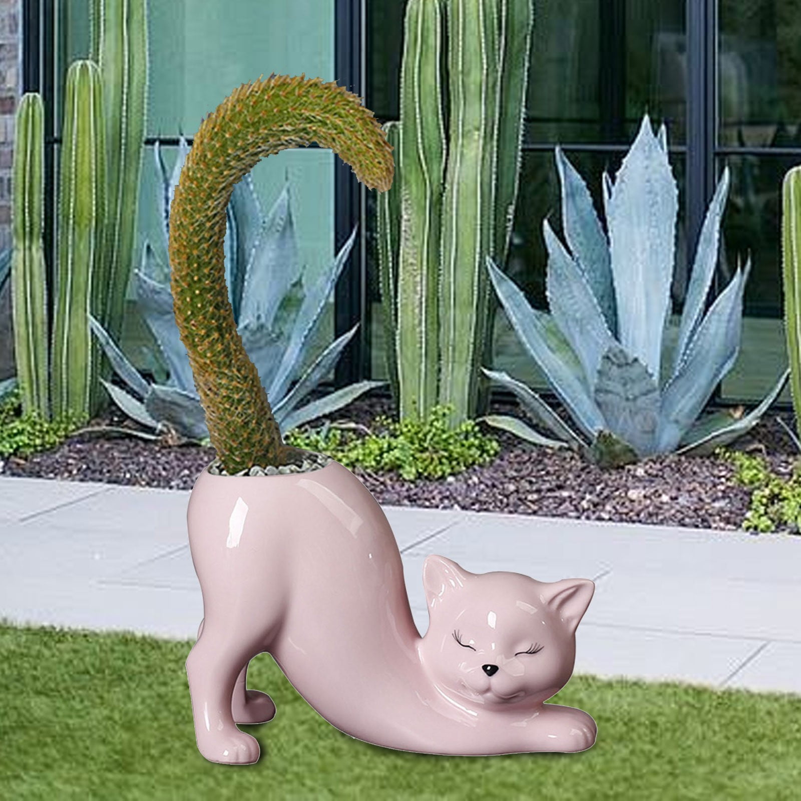 Indoor Plant Pot, Ceramic Tailless Cat Succulent Pots Cute Funny Kitty  Planter Creative Plant For All House Plants Succulents Flowers Cactus  Indoors ...