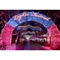 thumbnail image 4 of Gypsophila string lights Christmas lights wedding string lights holiday decoration, 4 of 4