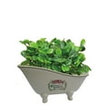thumbnail image 2 of Aqua Eden BATUBSSW Savons Superfins 8" Slipper Clawfoot Tub Decorative Soap Dish, 2 of 3