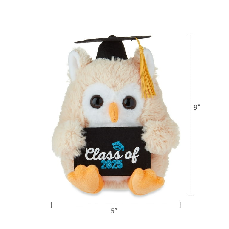 Graduation Small Brown Class of 2025 Owl Plush with Gift Card Holder, 9", by Way To Celebrate