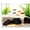 Black, variant on Aquarium Cave Tunnel 3D Printed - Fish Tank Decoration Natural Fish Hideout for Pleco, Shrimp & Corydoras | Sinking Base & Viewing Ports | Substrate-Friendly Decor