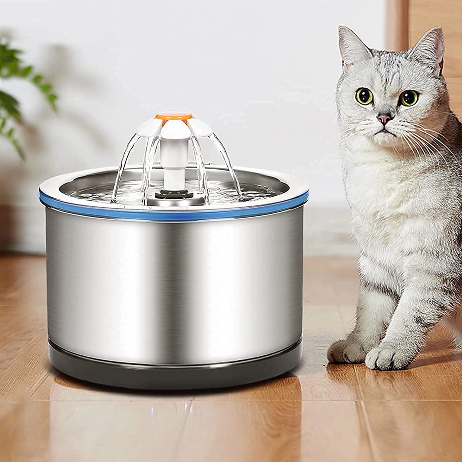best cat water fountain