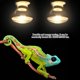 thumbnail image 4 of 220-230V Night Heat Light Lamp Bulb for Bird Snake Reptile Pet Amphibian (100W), 4 of 4