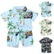 thumbnail image 4 of Odeerbi 1-8 Años Conjunto de Verano Para Niños de Hawaianos Camiseta de Manga Corta de Algodón Con Estampado Tropical Conjunto de Dos Piezas de Gráficos, 4 of 4