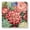 Color2392, variant on Bathroom Scale, Highly Accurate Digital Body Scale,Precisely Measures Weight up to 400 lbs-Beautiful Flowers Of Vintage Floral Print
