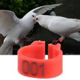 thumbnail image 5 of 100Pcs Bird Leg Bands Rings, 8MM 001-100 Numbered Poultry Leg Bands Clip-on Ring (White), 5 of 5