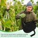 thumbnail image 5 of Uxcell 2-Pack Cuerda de Jardín, Cinta de Jardinería Elástica de 98 Pies para Plantas Trepadoras/Tomates/Árboles Frutales/Jardineros, Ataduras de Plantas de Tela Verde [Negro], 5 of 6