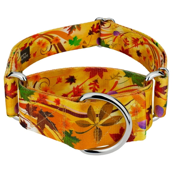 Country Brook Petz® 1 1/2 inch Autumn Wind Martingale Dog Collar, Extra Large