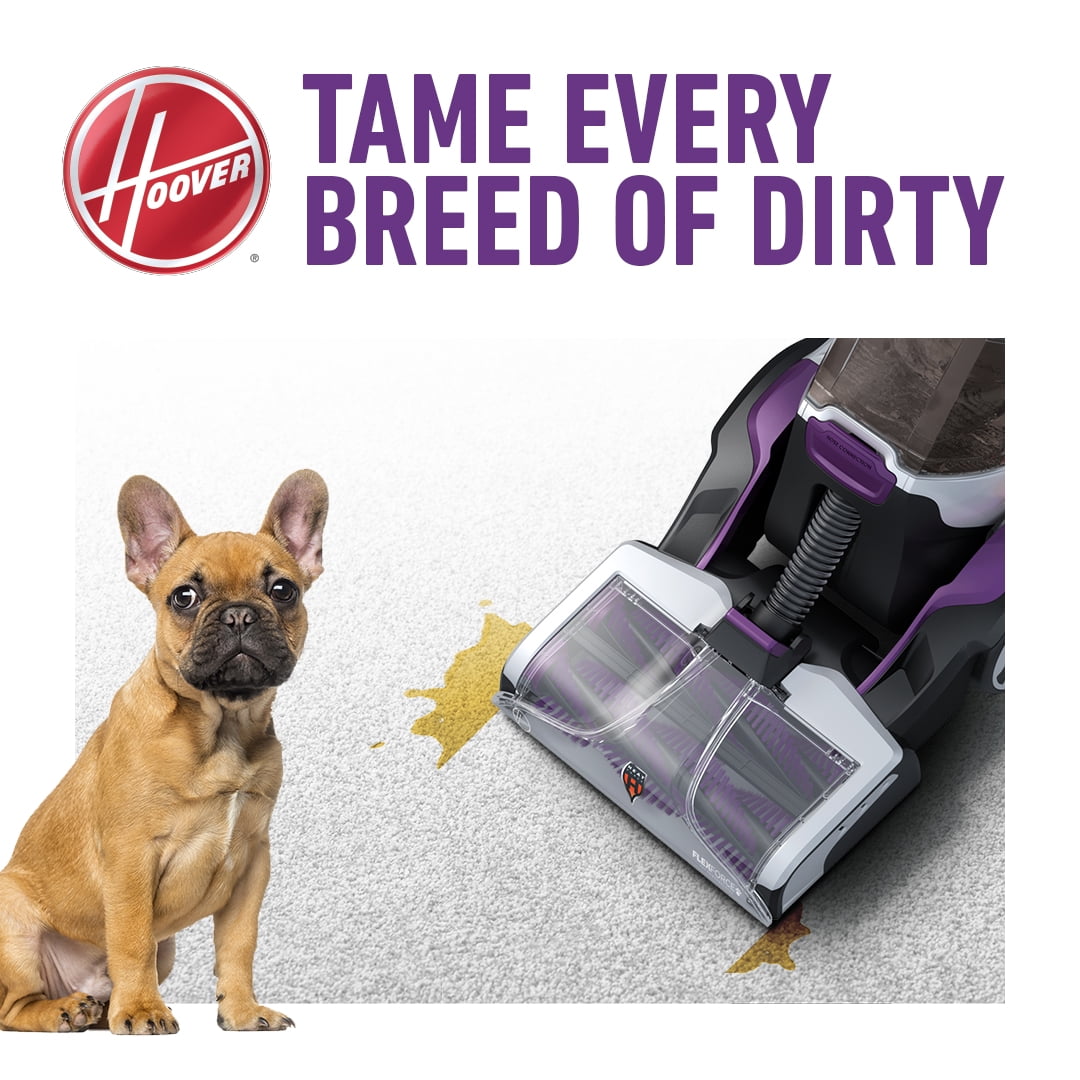 Petsmart top carpet cleaner