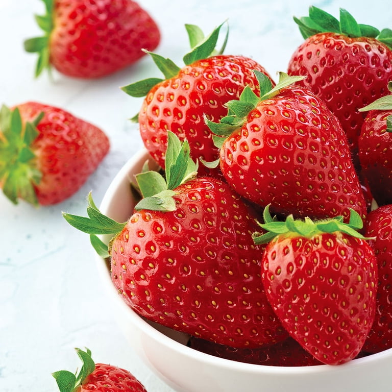 Expert Gardener Strawberry All Star Set of 10 Bare Roots for Full