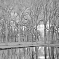 thumbnail image 2 of Rita Crane 15x15 White Modern Wood Framed Wall Art Titled - Along the Canal, 2 of 5