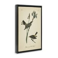 thumbnail image 3 of Stupell Industries Cottage Vintage Warbler Study Black Floating Frame Canvas Art, 17 x 25, by Wild Apple Portfolio, 3 of 8