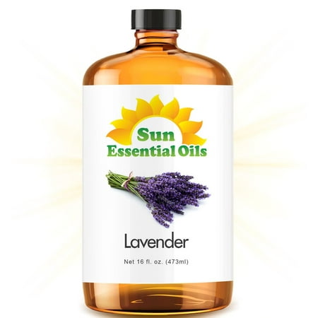Bulk Lavender Oil - Ultra 16 Ounce - 100% Pure Essential Oil (Best 16 fl oz / 472ml) - Sun