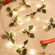 thumbnail image 4 of 2M 20 LED Pine Cones Garland Lights String Christmas Xmas Outdoor Holiday Wedding Party Baby Bed Fairy Lights Decorations, 4 of 5