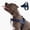 Admiral Blue, variant on Dog Friendly Co Chafe Resistant Webbing, Adjustable Neck & Chest, and Heavy Duty D-Ring Dog Harness, Hi-Vis Orange, X-Large
