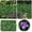 Green, variant on Leaves Wall Fence Retractable Garden Fence for Outdoor and Courtyard Enhancement Realistic Screen 1pc