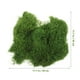 thumbnail image 3 of 1 bolsa de musgo Artificial, manualidades DIY, musgo falso, planta en maceta, musgo falso, macetero de interior, musgo falso, 3 of 5