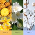 thumbnail image 2 of Plug In Air Freshener Starter Kit with Warmer – 9 Scented Oil Refills + 1 Diffuser in Jasmine, Hawaiian, Cotton, 5.94 Fl Oz, Compatible with Air Wick & Glade, Not Include Glade Plus, 2 of 4