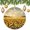 pattern-2052, variant on Christmas Tree Ornaments Starry Sky with Snowflakes Xmas Tree Ornaments Nature Landscape Ornament Xmas Ornament for Family Sister Friends