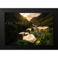 thumbnail image 2 of Macua, Gerald 14x11 Black Modern Framed Museum Art Print Titled - Calla Lily World, 2 of 5