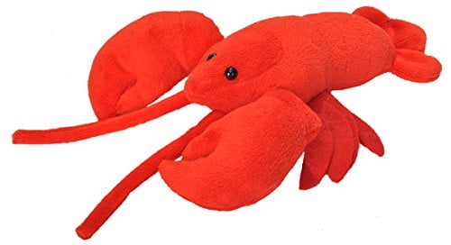 cuddly lobster