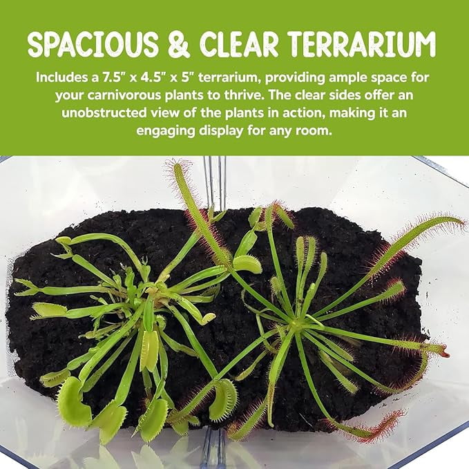 Live Venus Flytrap & Sundew Kit with Carnivorous Plant Food, Tweezers, Peat Pellets & 7.5" Clear Tank – Bug-Eating Indoor STEM Plant Gift Fly Trap