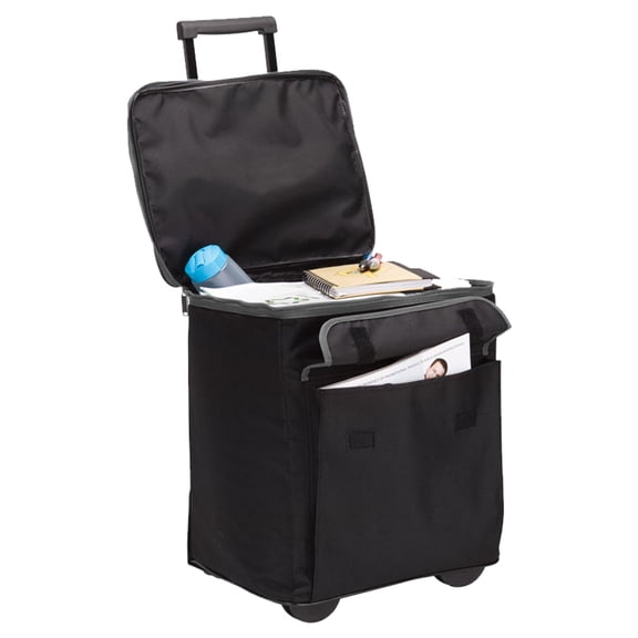 1170 Rolling Show Case 13 x 15 x 11