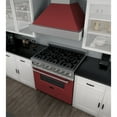 thumbnail image 4 of ZLINE 36 in. Professional Dual Fuel Range in DuraSnow Stainless Steel with Red Matte Door (RAS-RM-36), 4 of 5