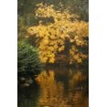 thumbnail image 1 of Affiche Imprimée Autumn Reflections I par Vitaly Geyman (12 x 18), 1 of 1