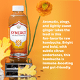 thumbnail image 3 of Synergy The Real Kombucha Gingerade, 16 fl oz, 3 of 9