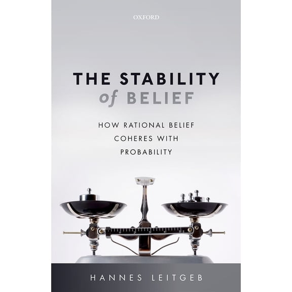 The Stability of Belief (Hardcover)