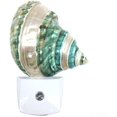 thumbnail image 1 of FYBTO Murex Ramosus Sea Shell Night Light Nautical Natural Seashell Beach Home Décor, 1 of 4